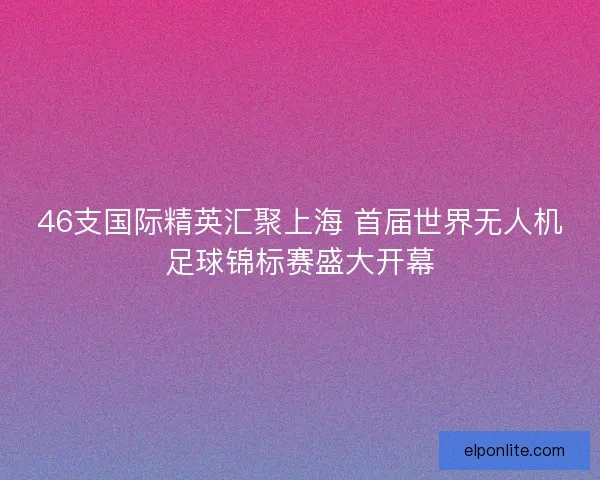 46支国际精英汇聚上海 首届世界无人机足球锦标赛盛大开幕